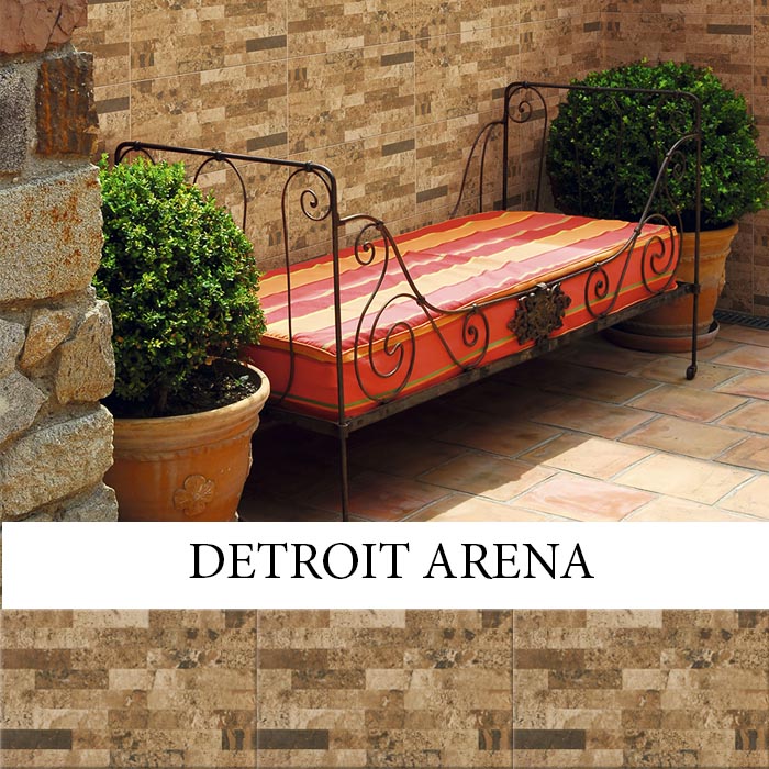 IMPORTILES DETROIT ARENA 25x40